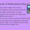 Culture and Multicultural Education