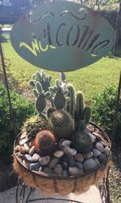 welcome home outdoor cactus garden in