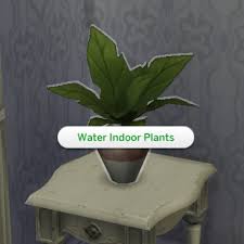 Feed Your Pets Water Your Plants