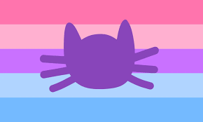 Catsexual