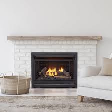 dual burner gas fireplace insert