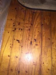 cigarette burns out of wood flooring