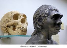 Neanderthal Images, Stock Photos & Vectors | Shutterstock