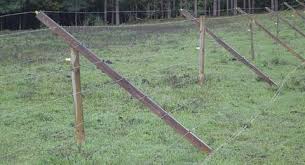 low cost fence keeps deer out good