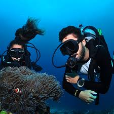 scuba diving philippines with seven