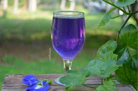 blue erfly pea flower tea benefits