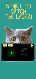 cat laser pointer pet fun on the app