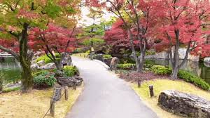 zen garden japanese garden gif zen