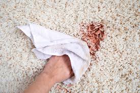 6 best homemade carpet cleaners for