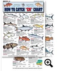 How To Catch Em Saltwater Chart 1 Barracuda Permit Tarpon