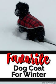 Zack Zoey Noreaster Dog Coat Review The Savvy Age