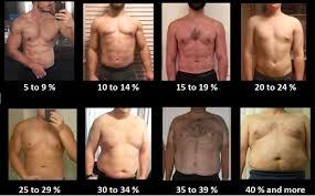 How To Estimate Your Body Fat Percentage Bf Ketogains