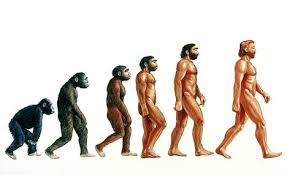 Stages In Human Evolution Dad The Single Guydad The Single Guy