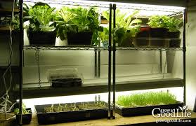 Build A Grow Light System For Starting Seeds Indoors