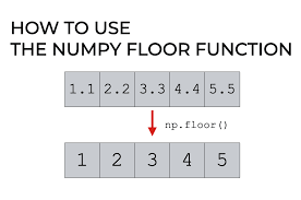 numpy floor explained sharp sight