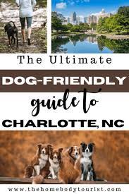 dog friendly guide to charlotte nc