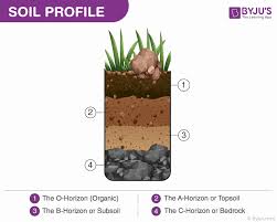 Soil Profile An Overview Of The Layers And Content Of Soil