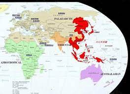 Map of the japanese empire at its peak in 1942. Jungle Maps Map Of Japan Empire During Ww2
