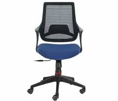 Blue Seat Cover Mesh Executive Chair