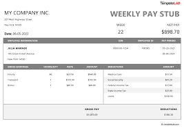 pay stub templates word excel pdf