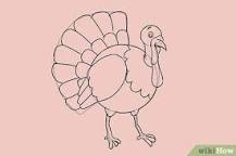 how-do-you-draw-a-turkey-wikihow