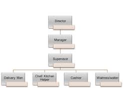 Organizational Structure Of The Organization Sarpinos