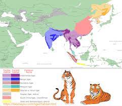 tiger subspecies habitat map