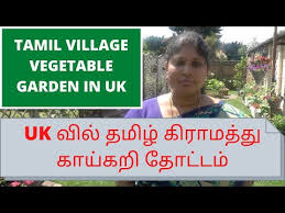 Tamil Vegetable And Flower Garden In Uk
