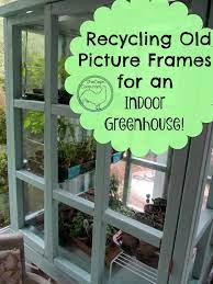 old picture frames for an indoor greenhouse