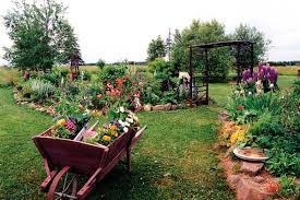 cottage gardening or gardening at the