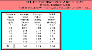 Talking Turkey About Pellet Penetration
