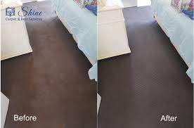 carpet cleaning brisbane shine carpet