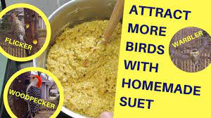 attract more birds with homemade suet
