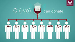 Blood Donation Guide Youtube