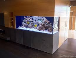Aquariums Fish Tanks Auckland
