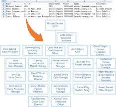 How To Choose The Best Organization Chart Software