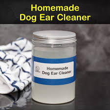 5 homemade dog ear cleaner recipes