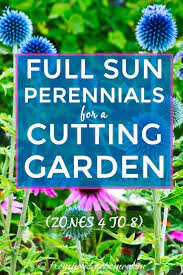 Summer Cutting Garden