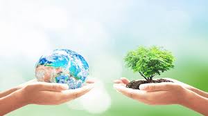 12 راه کمک به زمین در روز جهانی زمین پاک | ویکی نیکی