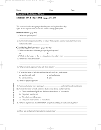 Ch 19 Packet