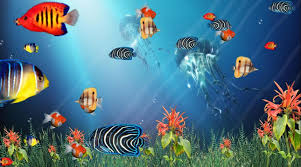 You will enjoy multiscenes screensavers with animated backgrounds, special one of the most relaxing animated screensavers with 3d particles flying in dark space. Free Download Wonderful Tropical Fish In The Ocean Aquarium 3d Screensaver Now With 946x526 For Your Desktop Mobile Tablet Explore 49 Free Ocean Wallpapers And Screensavers Free Ocean Wallpaper