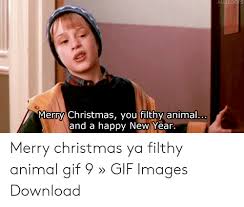 Frequent violations of this rule may result in a ban. 25 Best Memes About Merry Christmas You Filthy Animal Gif Merry Christmas You Filthy Animal Gif Memes