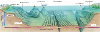 ocean floor features topography