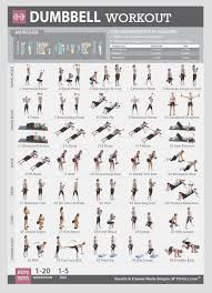 Details About Fitwirr Resistance Band Workout Poster 19x27