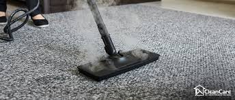 common culprits of carpet odour