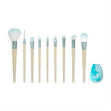 makeup brush kit