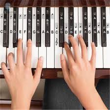 Transparent Plastic Removable Piano And Keyboard Chart Note Sticker