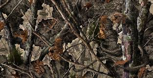 Camouflage Woodland Camouflage Tree