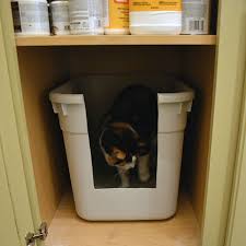 Maybe you would like to learn more about one of these? 17 Clever Ways To Hide The Litter Box