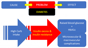 flow chart 1 how to get diabetes dr